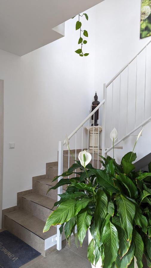 Gaestehaus Freystadt Dış mekan fotoğraf