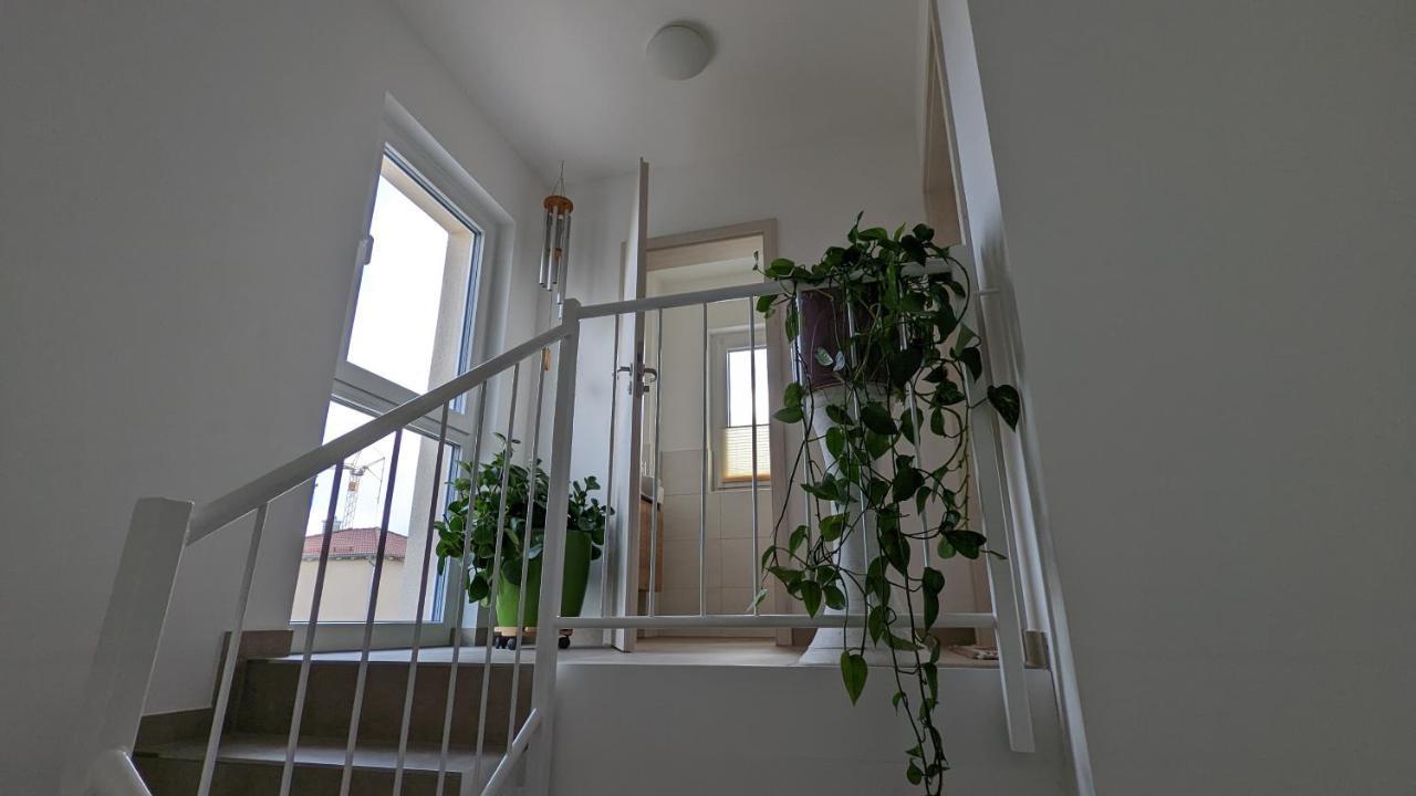Gaestehaus Freystadt Dış mekan fotoğraf